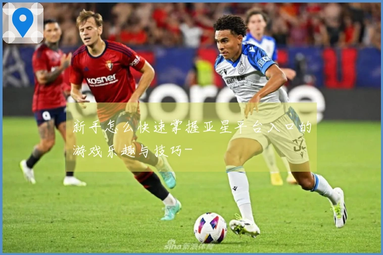 新手怎么快速掌握亚星平台入口的游戏乐趣与技巧-