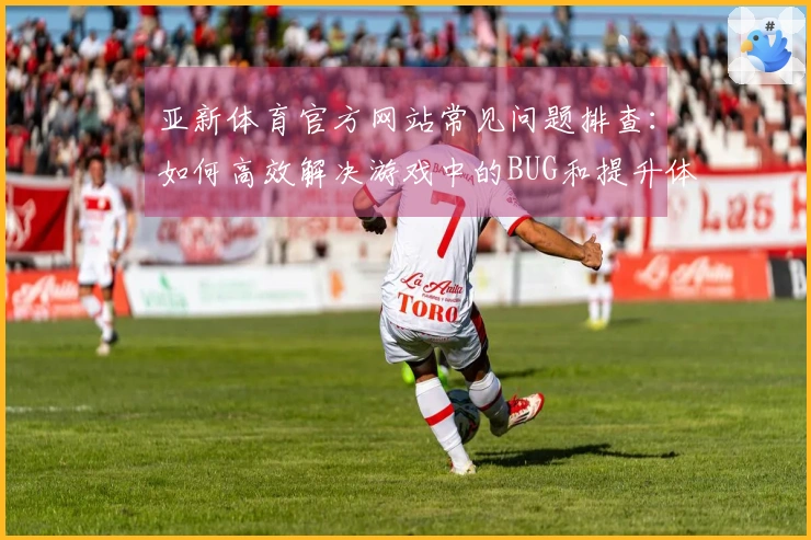 亚新体育官方网站常见问题排查：如何高效解决游戏中的BUG和提升体验