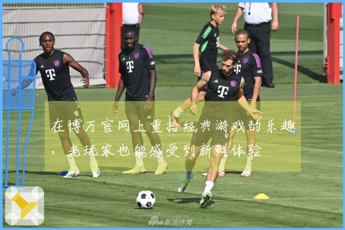 在博万官网上重拾经典游戏的乐趣，老玩家也能感受到新鲜体验