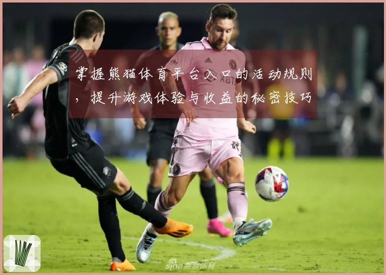 掌握熊猫体育平台入口的活动规则，提升游戏体验与收益的秘密技巧