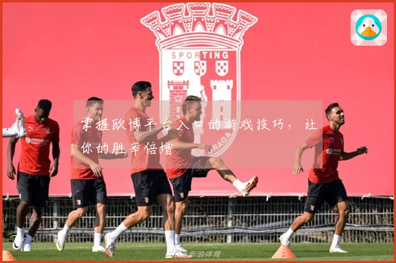 掌握欧博平台入口的游戏技巧，让你的胜率倍增