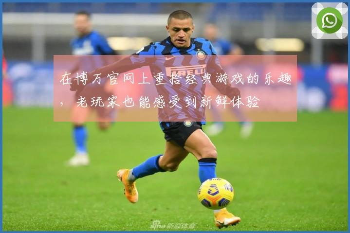 在博万官网上重拾经典游戏的乐趣，老玩家也能感受到新鲜体验