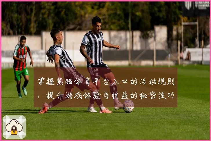 掌握熊猫体育平台入口的活动规则，提升游戏体验与收益的秘密技巧